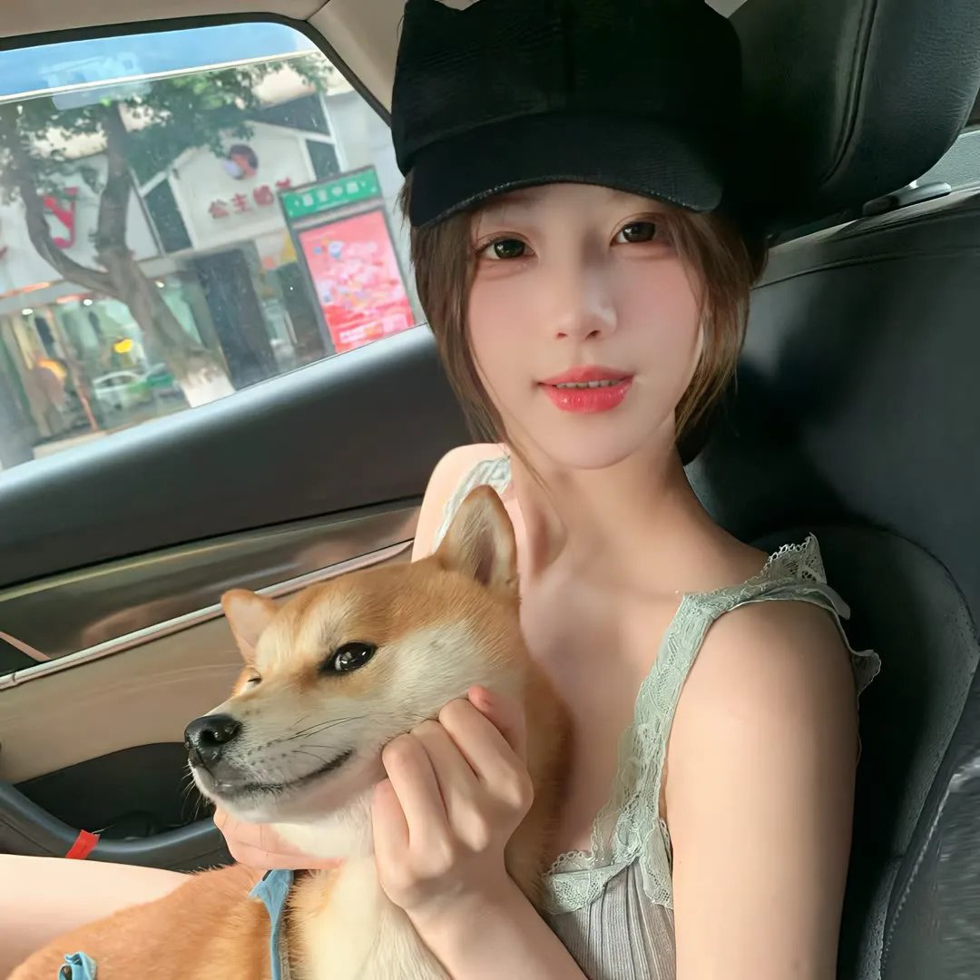大鸟和小鸟