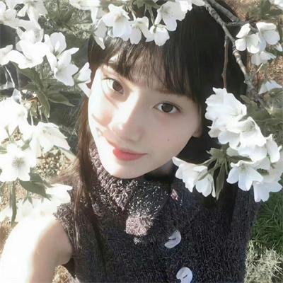 蒲公英的灰尘
